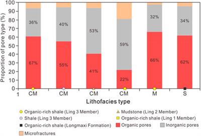 Geochemical and Geological Characterization of Upper Permian Linghao Formation Shale in Nanpanjiang Basin, SW China